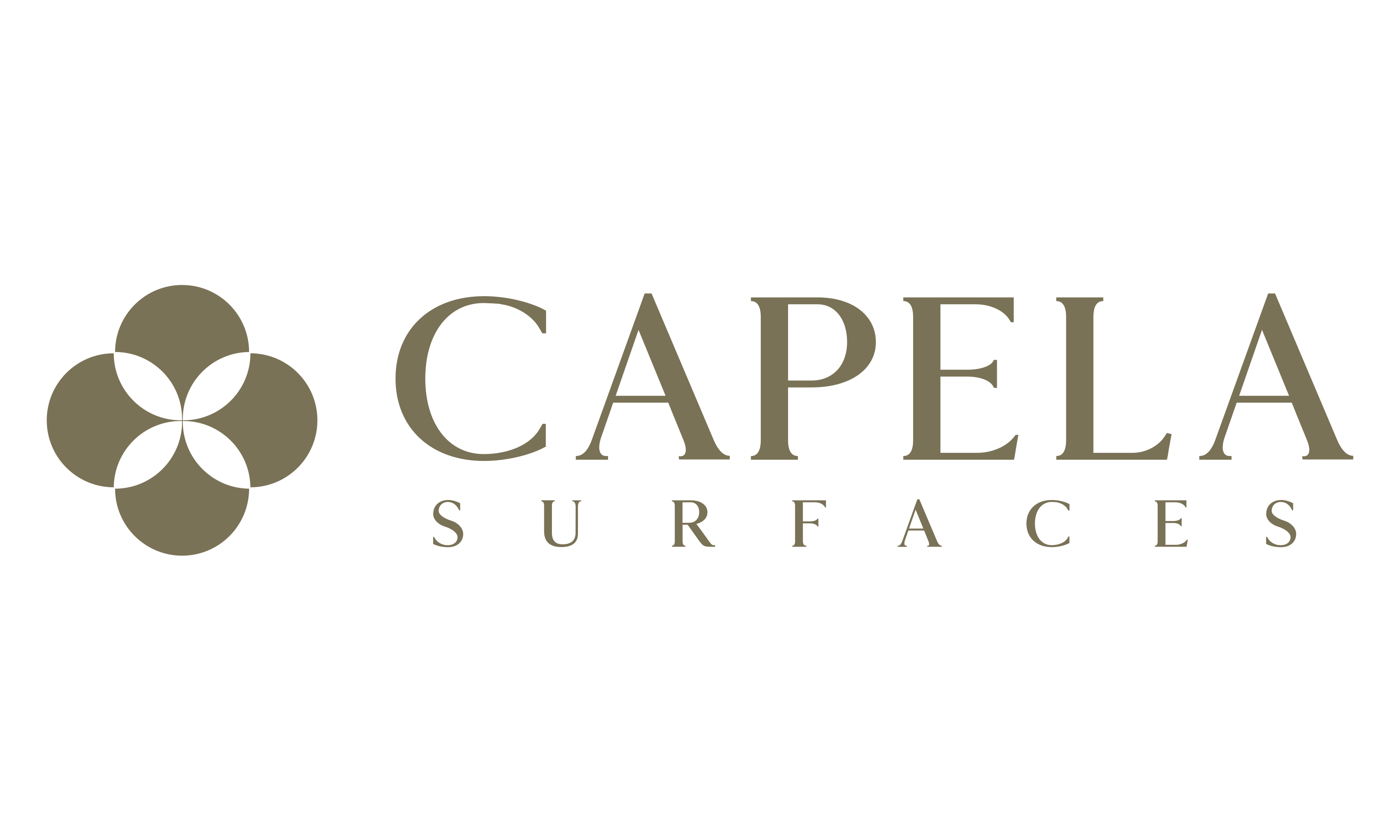 Capela Surfaces